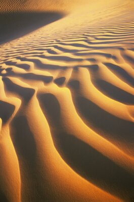 Wüstenlandschaft Dünen