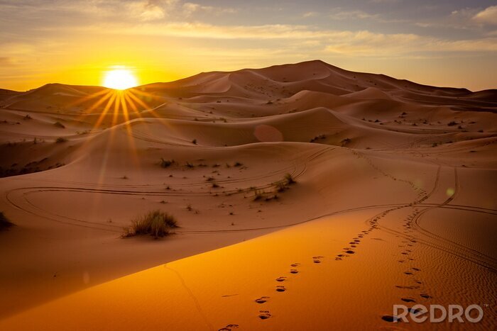 Bild Wüstenlandschaft von Sahara