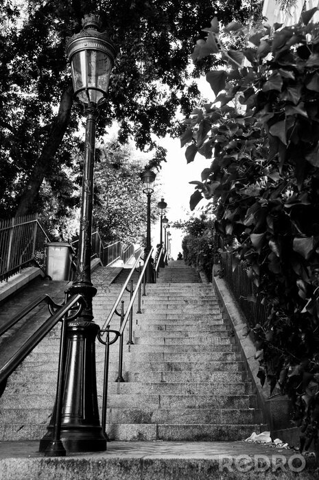 Bild Wunderschöne Montmartre-Steppen in Paris