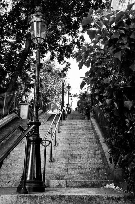 Bild Wunderschöne Montmartre-Steppen in Paris