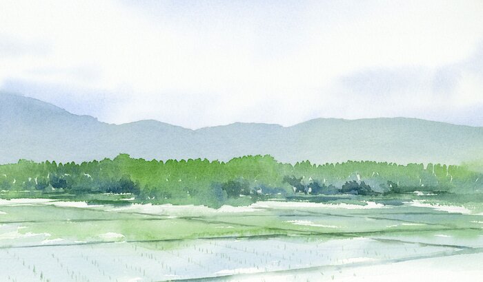 Bild 水田　山　風景　水彩画
