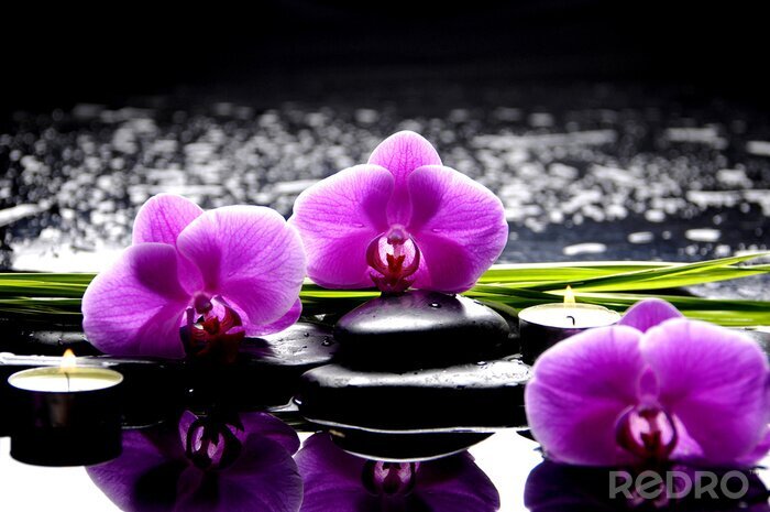 Bild Spa Stilleben mit Satz von rosa Orchidee und Steine ​​Reflexion