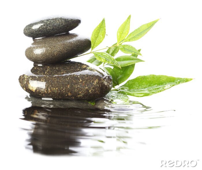 Bild Steine ​​im Wasser