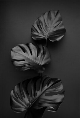 XXL-Muster mit schwarzen Blättern