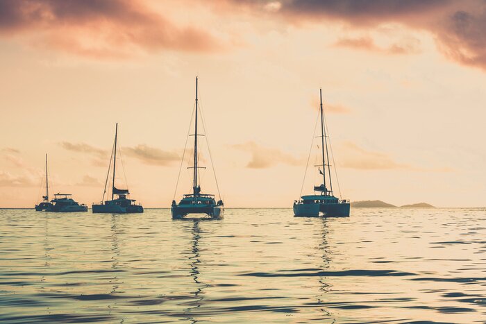 Bild Yachten auf See
