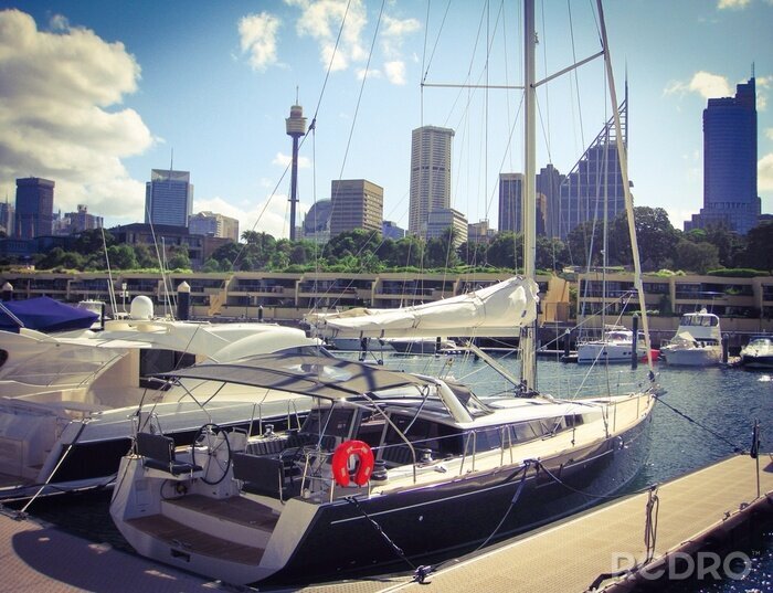 Bild Yachten in Sydney