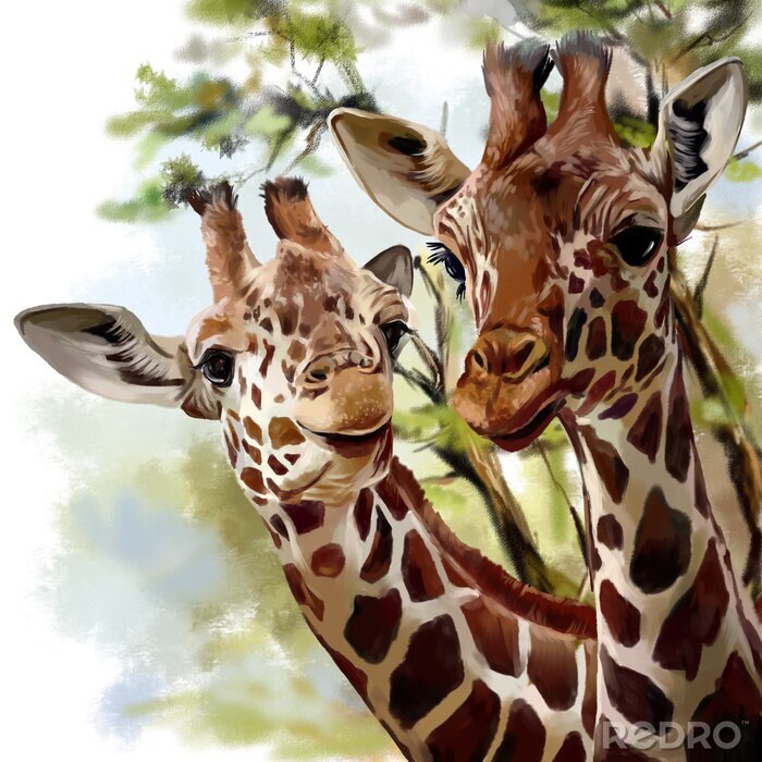 Bild Zarte Aquarell-Giraffen