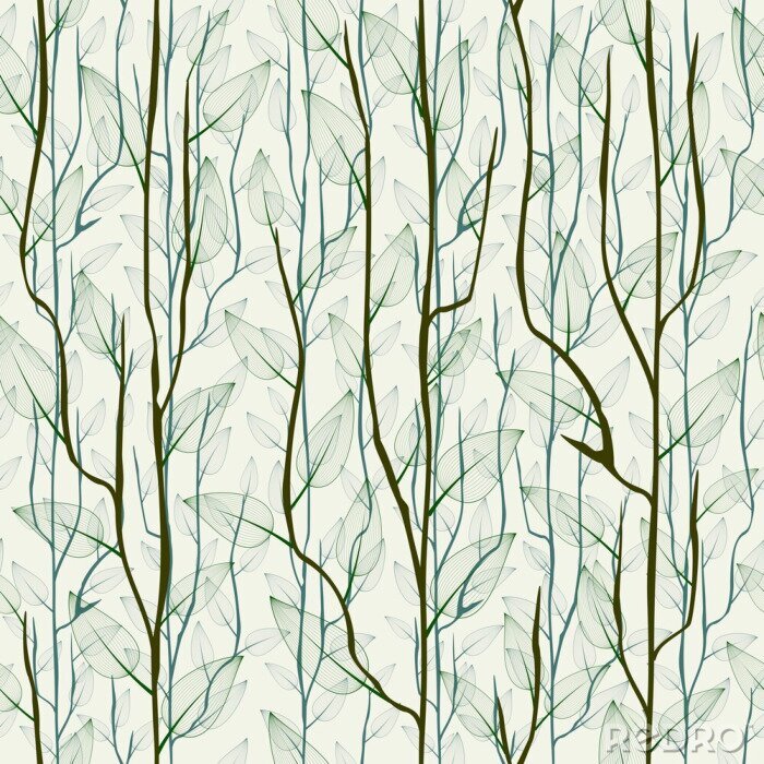 Bild Zarte Birkenzweige