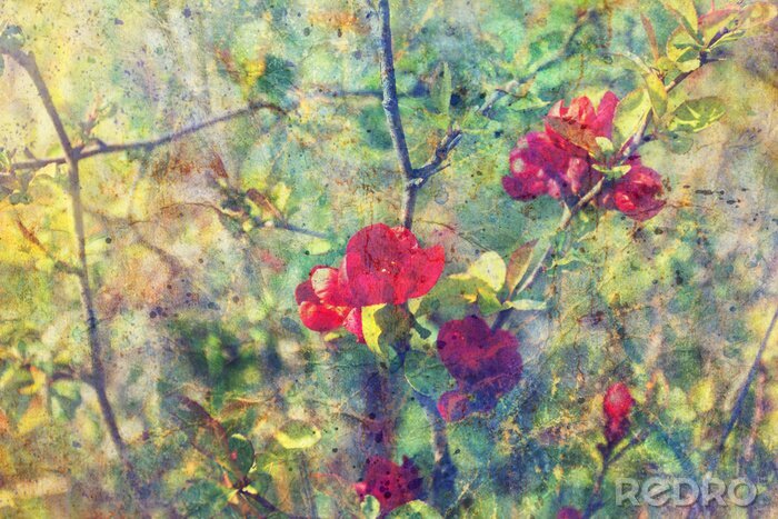 Bild Zarte rote Blüten