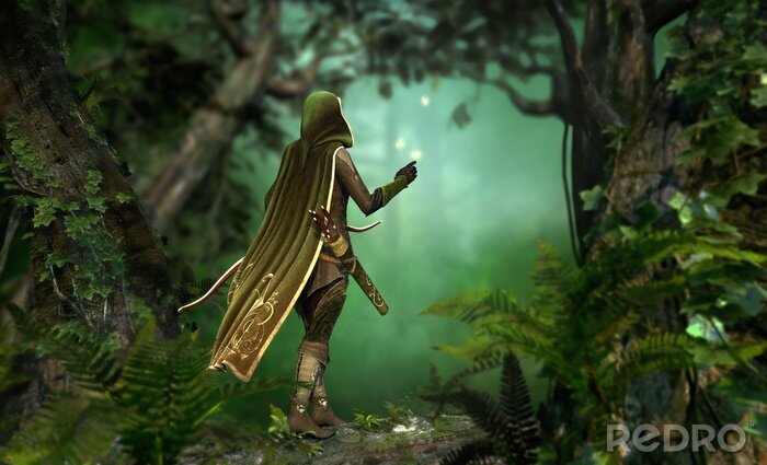 Bild Zauberer im Fantasy-Wald