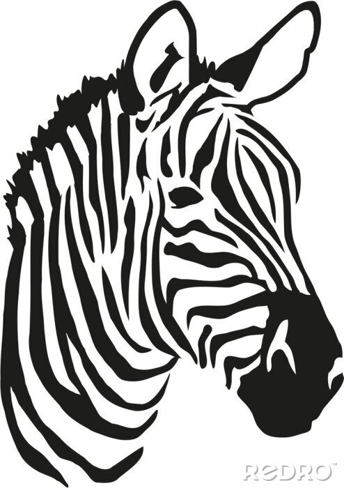 Bild Zebra auf schwarz-weißer Grafik