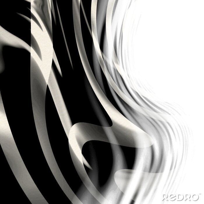 Bild Zebra Haut Textur