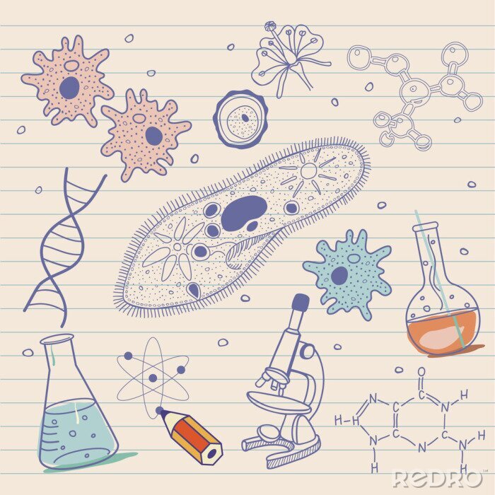 Bild Zeichnung mit chemischen Symbolen
