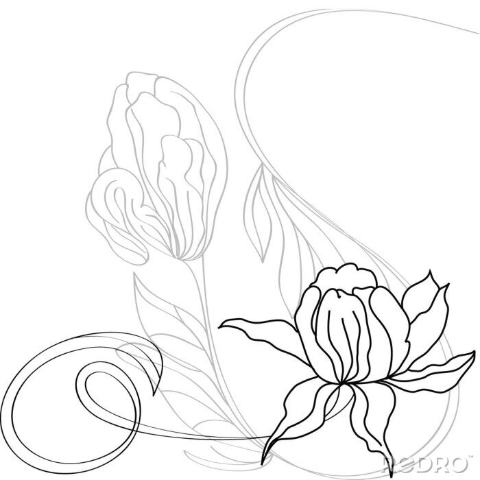 Bild Zeichnung mit großen Blumen