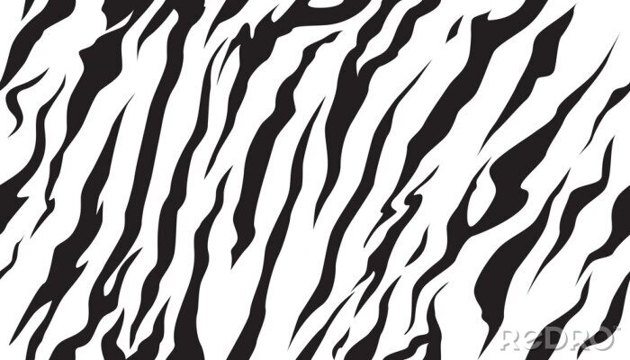 Bild Zeichnung schwarz-weiß gestreiftes Zebra