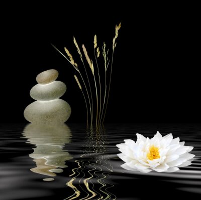 Zen Symbole