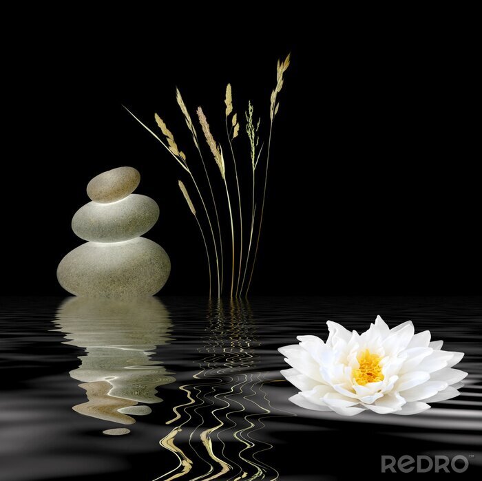 Bild Zen Symbole