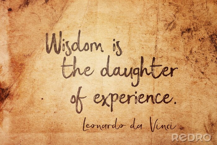 Bild Zitat da Vinci über Erfahrung