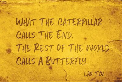Zitat von Laozi