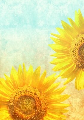 Bild Zwei Sonnenblumen im gealterten Stil