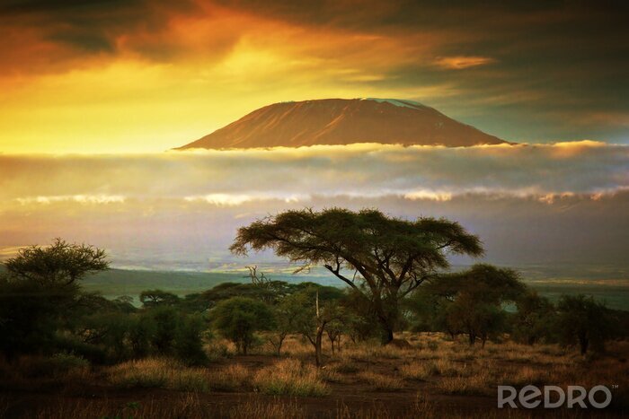 Fototapete 3D Afrika Kilimandscharo