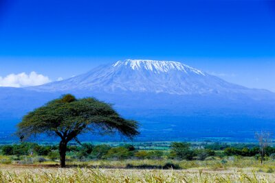 Fototapete 3D Afrika und Kilimandscharo