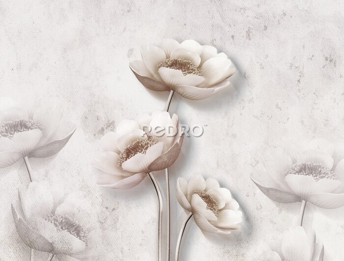 Fototapete 3D-Blumen auf einer Betonwand