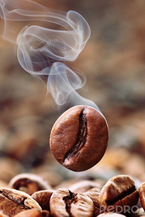 Fototapete 3D Bohnenkaffee ungemahlen
