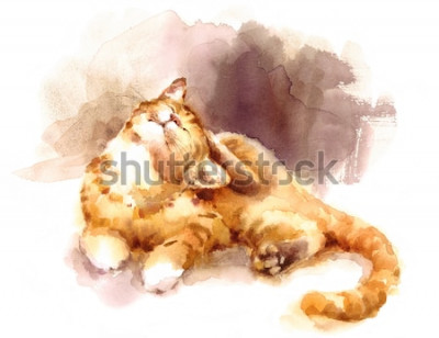 Fototapete 3D Katze in Aquarell