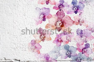 Fototapete 3D Mauer mit gemalten Orchideen