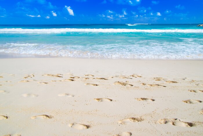 Fototapete 3D Meer und Strand