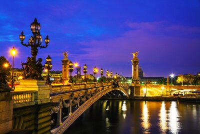 Fototapete 3D Paris und Pont Alexandre III