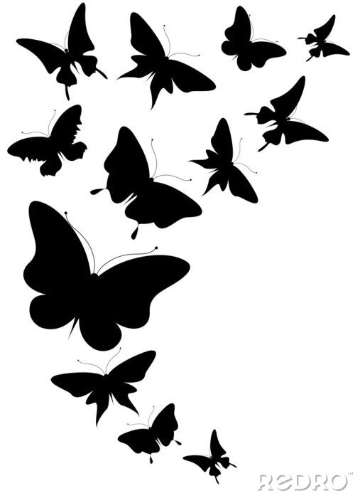 Fototapete 3D-Schmetterlinge in Schwarz-Weiß