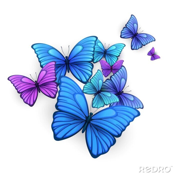 Fototapete 3D-Schmetterlinge in verschiedenen Farben