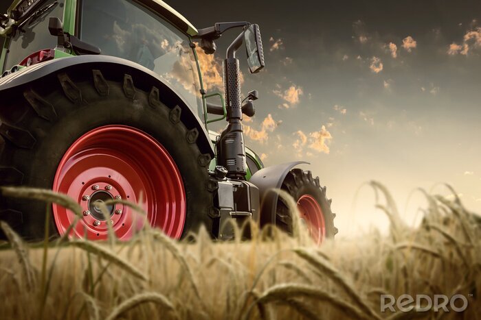 Fototapete 3d Traktor in Getreide