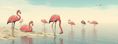 Fototapete 3D-Vögel im Wasser