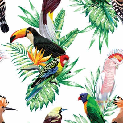 Fototapete 3D-Vögel und afrikanische Tiere