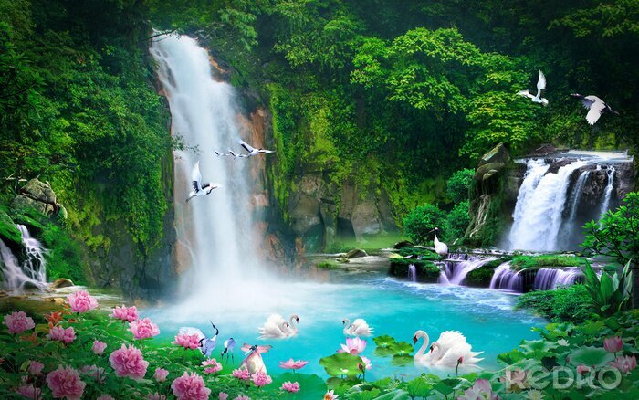 Fototapete 3D Wasserfall und Schwäne