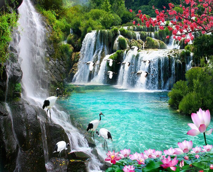 Fototapete 3D Wasserfall und Vögel