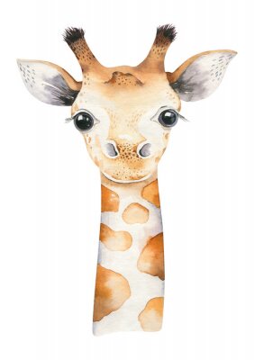 A poster with a baby giraffe. Watercolor cartoon giraffetropical animal illustration. Jungle exotic summer print.