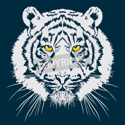 Fototapete Abbildung eines weißen tigers