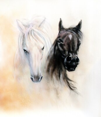 Fototapete Abbildung von zwei pferden