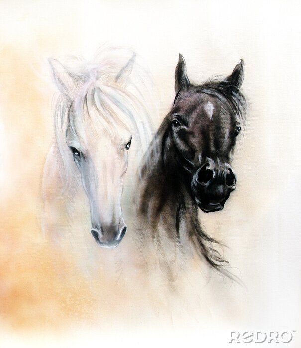 Fototapete Abbildung von zwei pferden