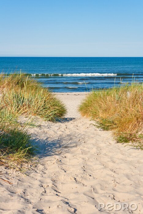 Fototapete Abstieg zum Meeresstrand