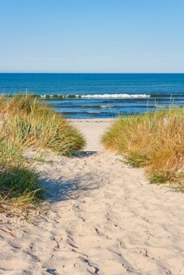 Fototapete Abstieg zum Meeresstrand