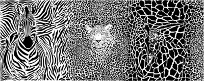 Abstrakte Illustration Zebra Giraffe und Panther