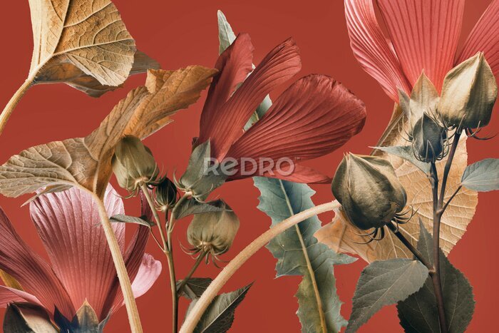 Fototapete Abstrakte Komposition mit roten Blumen