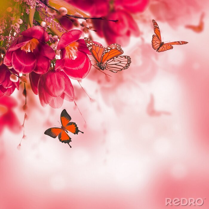 Fototapete Abstrakte rosa Tulpen mit Schmetterlingen