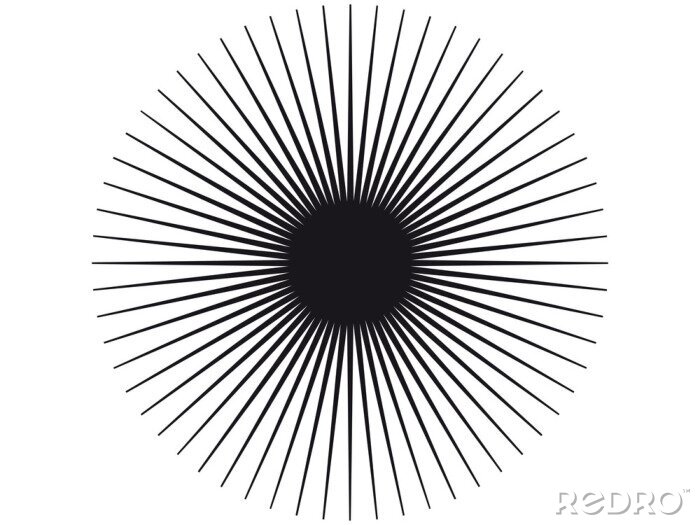 Fototapete Abstrakte schwarz-weiße Pusteblume