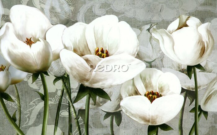 Fototapete Abstrakte weiße Tulpen